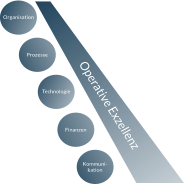 Organisation Prozesse Technologie Finanzen Kommuni- kation Operative Exzellenz