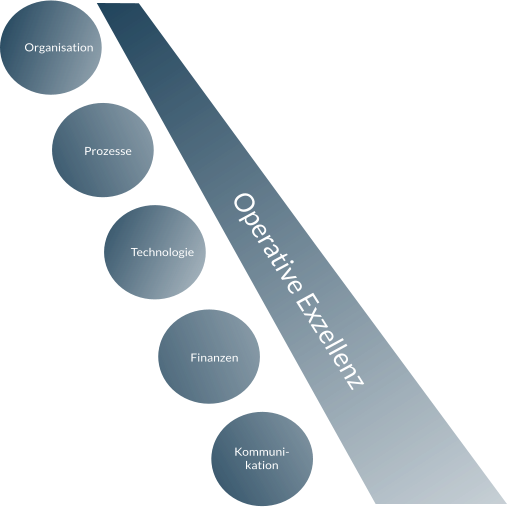 Organisation Prozesse Technologie Finanzen Kommuni- kation Operative Exzellenz